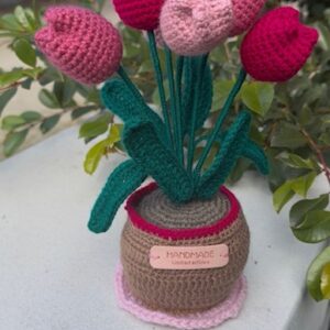 Tulip Crochet Pot