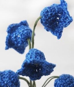 Bluebell crochet class