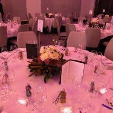 IMG_1566 IMG_1566